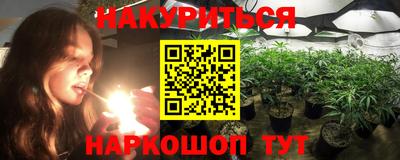 крисы Партизанск