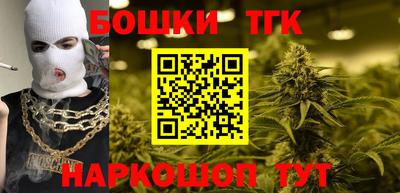прущие грибы Пугачёв