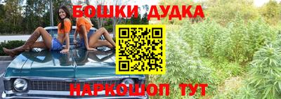 гидра Пенза