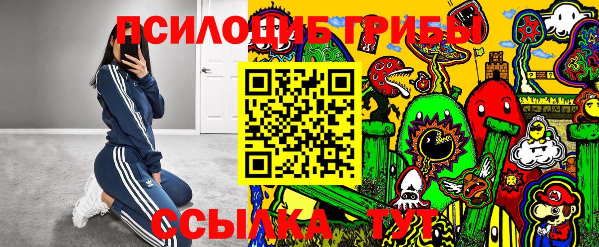 Псилоцибиновые грибы Magic Shrooms Петрозаводск