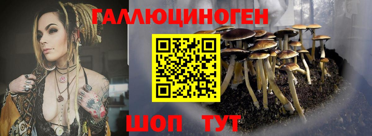 Псилоцибиновые грибы GOLDEN TEACHER  Псилоцибиновые грибы прущие грибы  Вход с VPN  наркошоп  Петрозаводск 